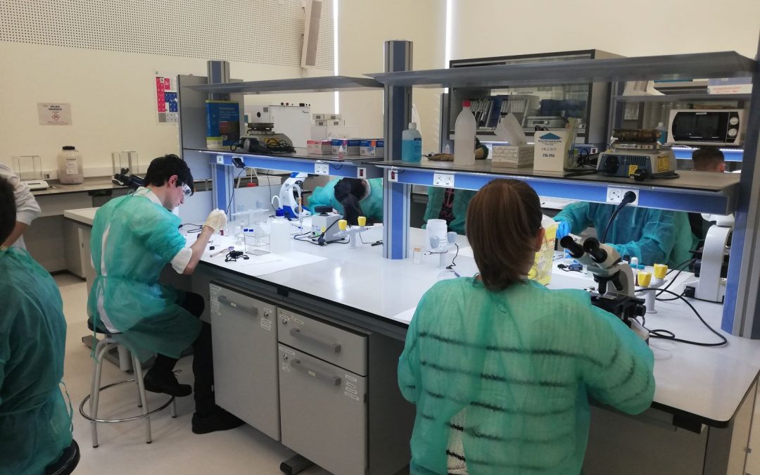La USJ acoge la prueba práctica de las Olimpiadas de Biología de Aragón