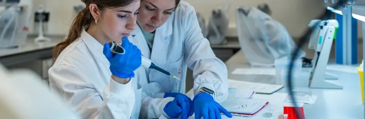 Estudios relacionados