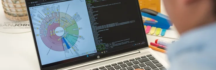 Estudios relacionados