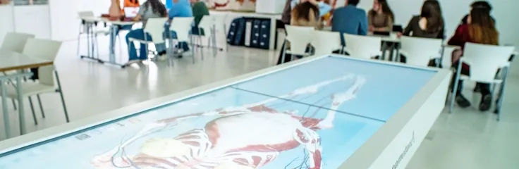 Estudios relacionados