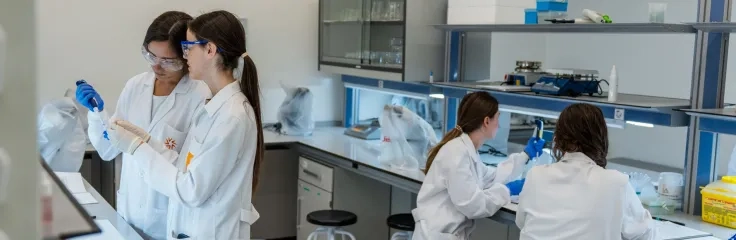 Estudios relacionados
