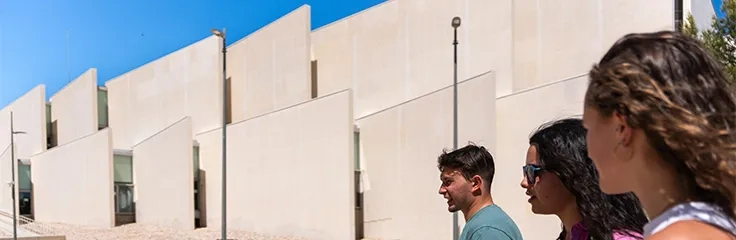 Participación