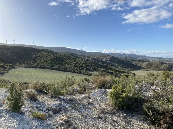 La Universidad San Jorge sigue impulsando la sostenibilidad con un nuevo proyecto compensación de CO2 en Tauste