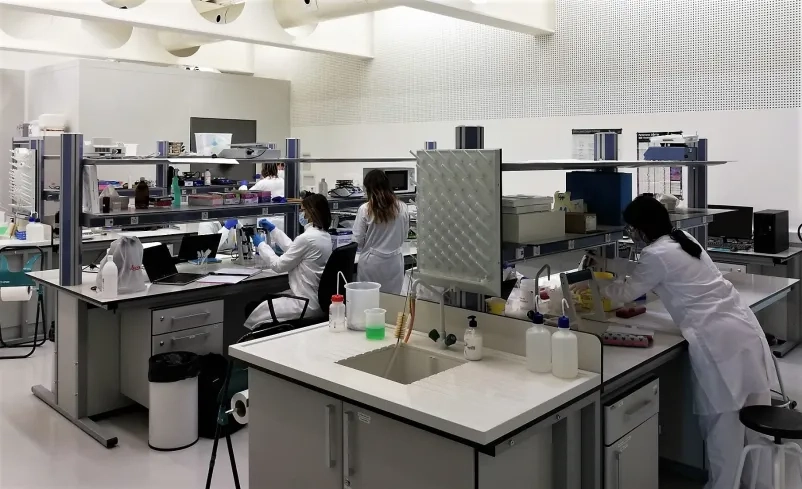 La Universidad San Jorge impartirá Biomedicina y Bioingeniería el próximo curso