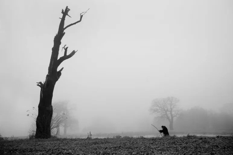 Carlos Frías, Svetlin Yosifov y Jacek Cislo, ganadores del VIII Premio Internacional de Fotografía Jalón Ángel