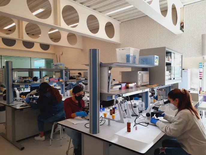 La Universidad San Jorge acoge la fase práctica de la Olimpiada Española de Biología