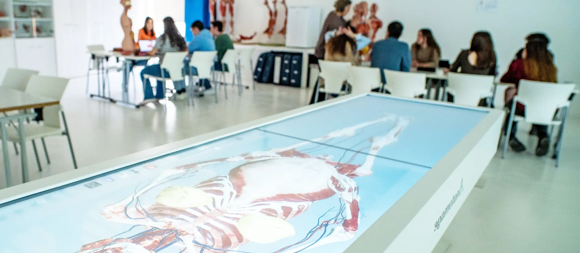 Grado en Biomedicina