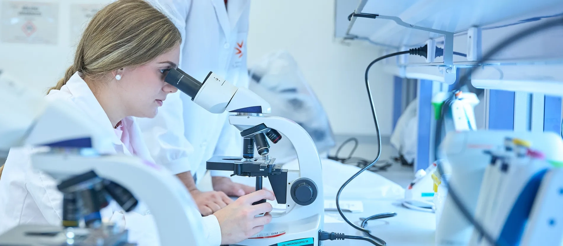 Grado en Biomedicina