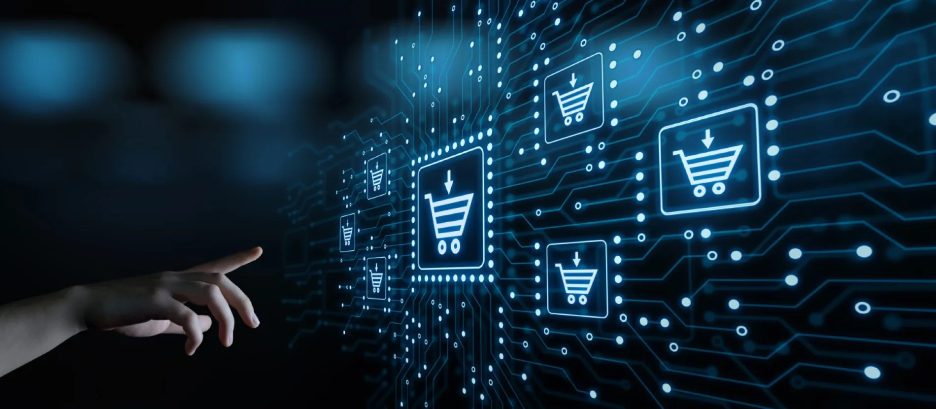 Diploma de Especialización Universitaria en Diseño Web y Comercio Electrónico