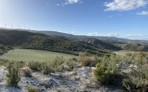 La Universidad San Jorge sigue impulsando la sostenibilidad con un nuevo proyecto compensación de CO2 en Tauste