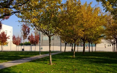 La Universidad San Jorge sigue avanzando en la protección del medio ambiente 