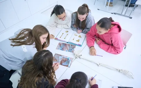Un proyecto europeo liderado por la Universidad San Jorge ofrece formación y recursos gratuitos para manejar el dolor musculoesquelético