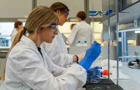Investigación