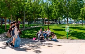 Vive el campus