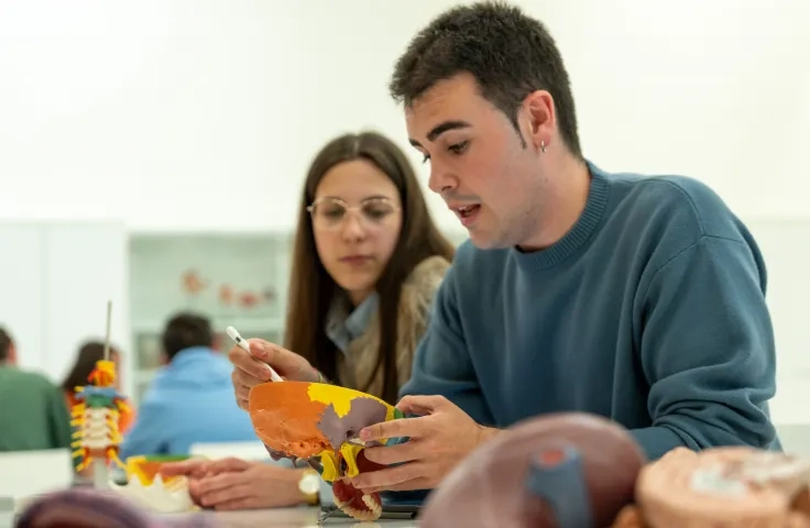 METODOLOGÍA DOCENTE