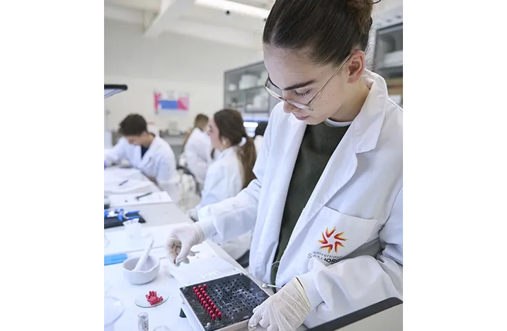 APUESTA POR LA INVESTIGACIÓN