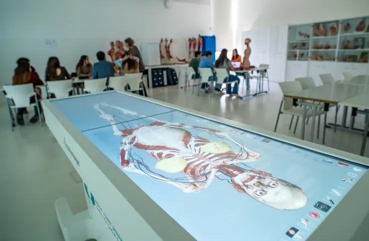 TALLER DE ANATOMÍA Y FISIOLOGÍA