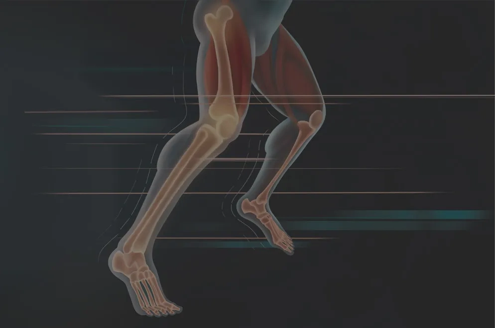 Máster en Biomecánica de la Locomoción Humana